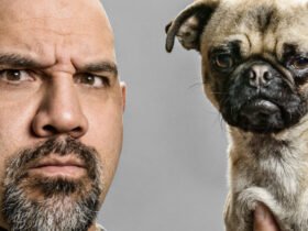People Really Do Tend to Look Like Their Dogs : ScienceAlert