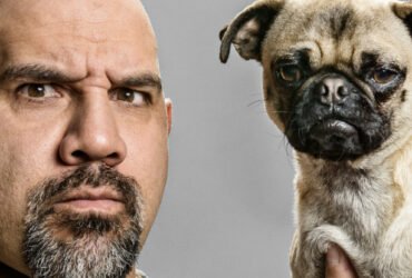 People Really Do Tend to Look Like Their Dogs : ScienceAlert