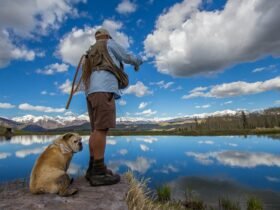 Pet-friendly Colorado hotels and resorts