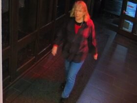 Police release CCTV of missing woman Elisabeth Nicholls