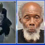 Repeat Sexual Predier touches 9-year-old girl in South Loop Playground, say public prosecutors