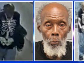 Repeat Sexual Predier touches 9-year-old girl in South Loop Playground, say public prosecutors