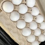 Salmonella Outbreak Tied To Eggs Sickens Dozens Across 7 States