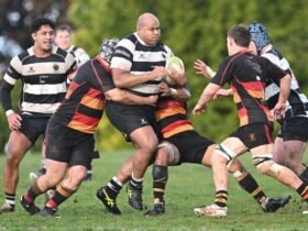 Southern thrash injury-hit Zingari-Richmond | Otago Daily Times Online News