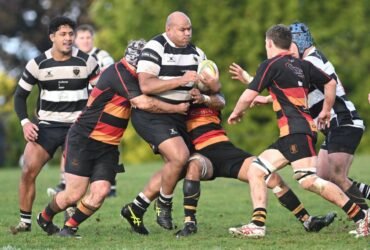Southern thrash injury-hit Zingari-Richmond | Otago Daily Times Online News