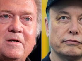 Steve Bannon Calls Elon Musk ‘National Security Issue'