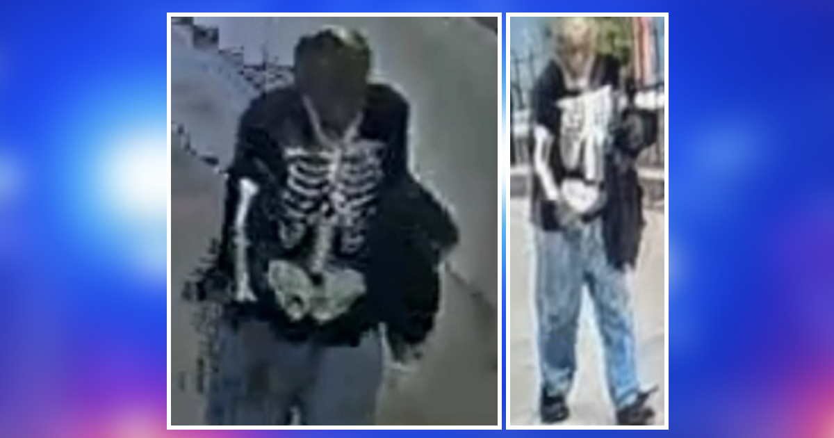 Stranger touched young girls at South Loop Playground, the police warns