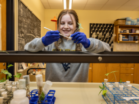 Student discovers mysterious fungus that escaped the inventor of LSD