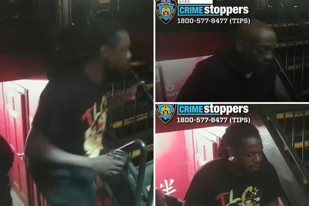 Tellous Home Invaders Stick, hit older victims in Brazen NYC Home Invasion: Cops
