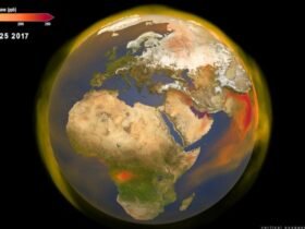 The Human Epoch Doesn't Officially Exist. But We Know When It Began. : ScienceAlert