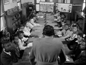 The dark side of education
