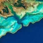 There may be a surprising upside to losing coral reefs as oceans warm