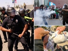 This is all the riot equipment that La Cops use to break anti-cice protests