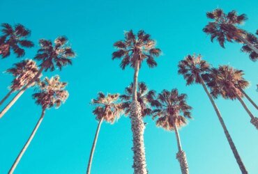 Top -producing California Agent joins Exp Realty