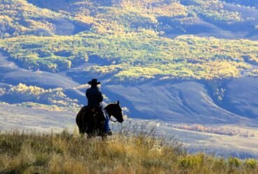 Trump administration plans to rescind rule blocking logging on national forest lands