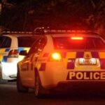 Two critically injured near Auckland night market