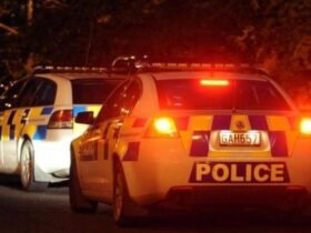 Two critically injured near Auckland night market