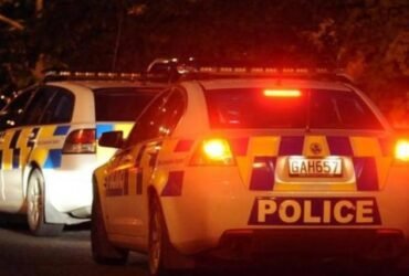 Two critically injured near Auckland night market