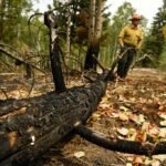 US Forest Service chief asks wildfire employees who took voluntary resignation to ‘come back’