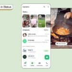 WhatsApp confirmed that he will get advertisements