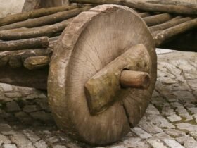 Wheels May Have Been Invented to Solve a Surprising Problem : ScienceAlert