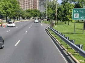 Witnesses are sought for man being beaten, killed on Lake Shore Drive in Lakeview